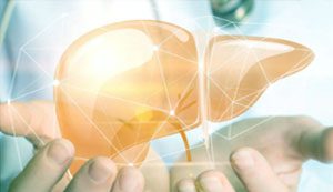 Can Hormone Therapy Protect Against Liver Disease?