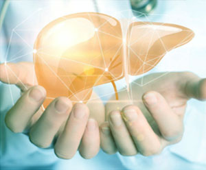 hormone therapy liver hormone therapy liver