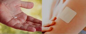 What Are Hormones & Where Do They Come From?