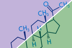 Synthetic Progestin vs Bioidentical Progesterone Hormone Therapy