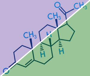 progesterone hormone replacement therapy progesterone hormone replacement therapy