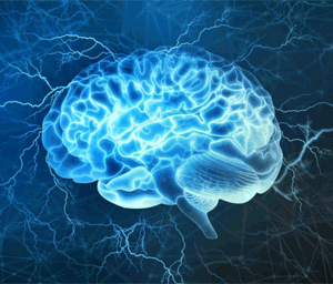 hrt brain health hrt brain health